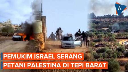 Pemukim Israel Serang Petani Zaitun Dan Aktivis Palestina Di Tepi Barat