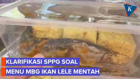 SPPG Pamekasan Klarifikasi Menu MBG Lele Mentah Yang Ditolak Sekolah