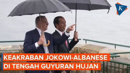 Momen Jokowi dan Albanese Asyik Nikmati Australia di Bawah Guyuran Hujan