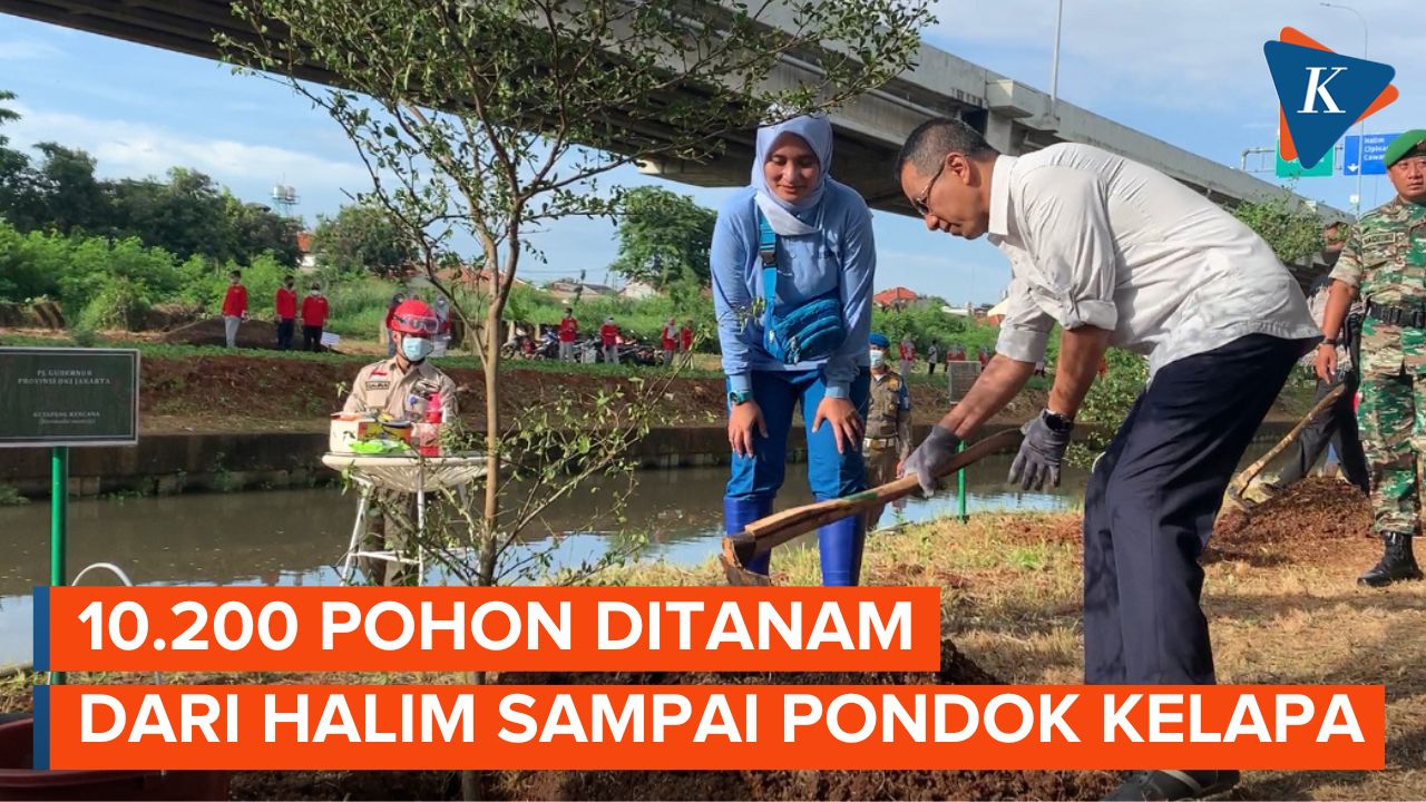 Pj Gubernur DKI Heru Budi Tanam 10 Ribu Pohon di Kolong Tol Becakayu