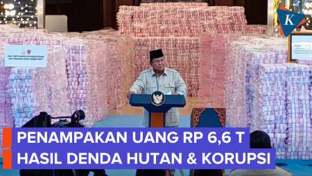 Penampakan Tumpukan Uang Rp 6,6 Triliun Sitaan Hasil Korupsi Dan Denda Kawasan Hutan