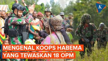 Habisi 18 Anggota OPM dalam 1 Jam, Apa Itu Koops Habema?