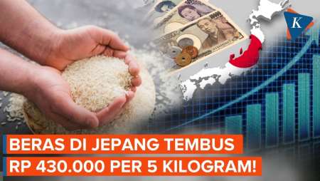 Harga Beras Di Jepang Meroket, Tembus Rp 430.000 Per 5 Kilogram!
