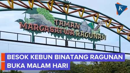 Sejarah! Ragunan Buka Safari Malam untuk Pertama Kalinya Mulai Besok