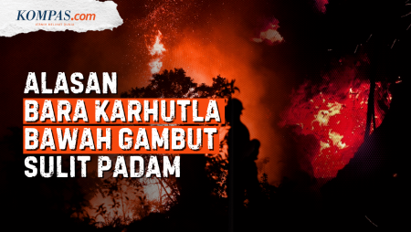 Mengapa Api Karhutla Bisa Membara di Bawah Lahan Gambut?
