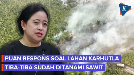 Sikap Ketua DPR Soal Lahan Bekas Karhutla Tiba-tiba Jadi Kebun Sawit