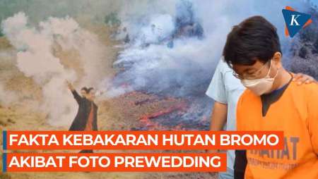 Manajer WO Jadi Tersangka Kebakaran Bromo, Ini Fakta Flare Prewedding Bakar Savana 50 Hektar