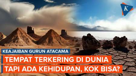 Keajaiban Tempat Terkering Dunia, Tetap Ada Kehidupan meski Tak Pernah Hujan