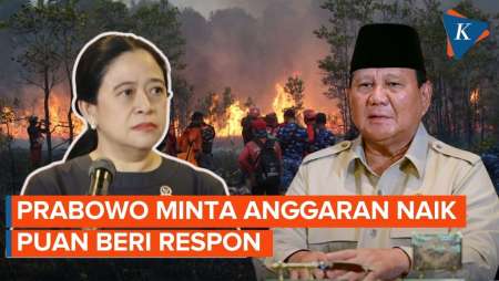 Prabowo Minta Anggaran Mitigasi Bencana Ditambah, Ini Respons Puan