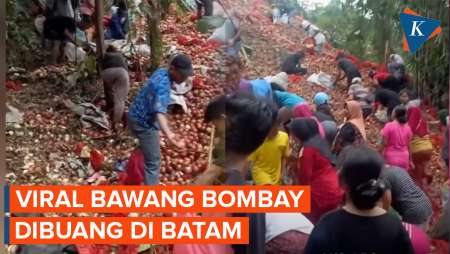 Viral Bawang Bombay "Segunung" Dibuang Di Batam, Ini Penjelasan Balai Karantina