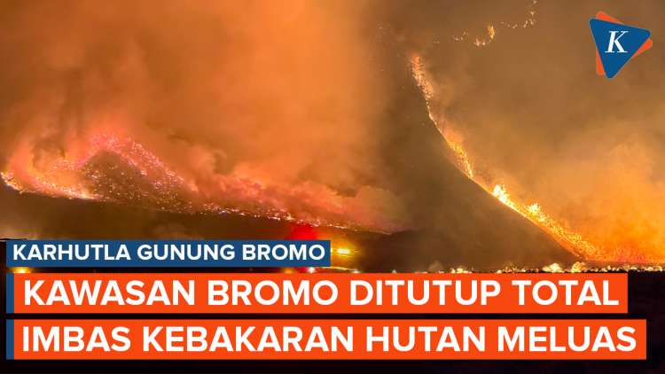 Kebakaran Melanda Kawasan Wisata Gunung Bromo, Ditutup Total
