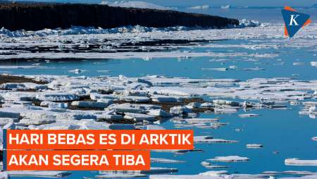 Hari Tanpa Es di Arktik Akan Terjadi di Dekade Ini
