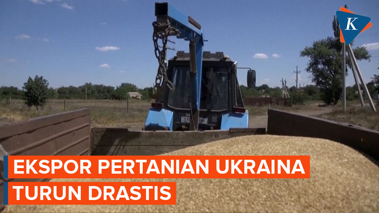 Ekspor Makanan Utama Ukraina Turun Drastis Sejak Perang Rusia
