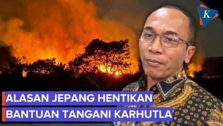 Pemerintah Klarifikasi Alasan Jepang Hentikan Bantuan Tangani Karhutla: Operasional Mereka 2 Minggu