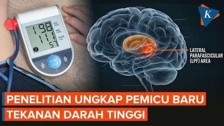 Ilmuwan Temukan Pemicu Baru Tekanan Darah Tinggi, Jelaskan Mengapa Obat Tak Ampuh