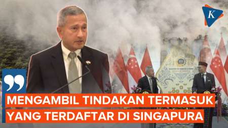 Menlu Singapura Akui Ada Perusahaan Dari Negaranya Yang Terlibat Karhutla