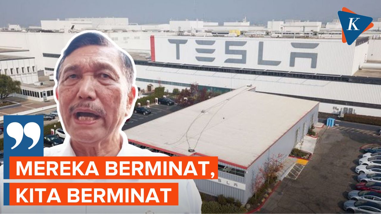 Pemerintah Sambut Baik Rencana Tesla Dirikan Pabrik di Indonesia