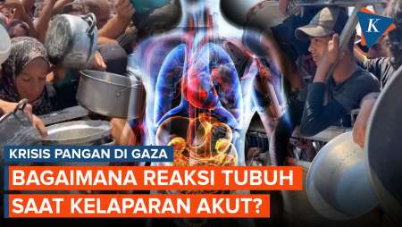 Gaza Krisis Pangan, Apa yang Terjadi pada Tubuh Saat Kelaparan Akut?