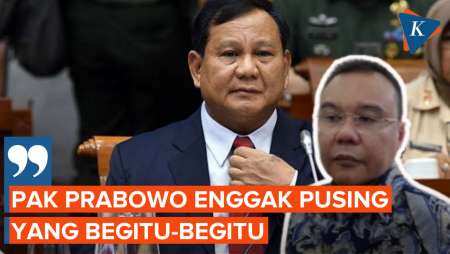 Gerindra Sebut Prabowo Tak Ambil Pusing soal Viralnya Akun Fufufafa