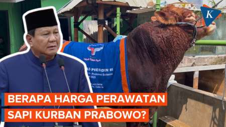 Prabowo Beli Sapi Kurban 