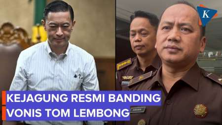 Vonis Tom Lembong Lebih Rendah dari Tuntutan, Kejagung Resmi Banding
