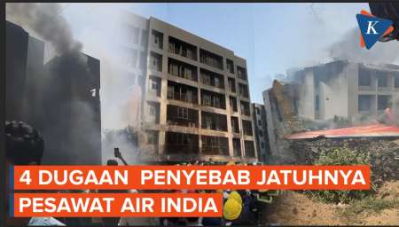 Dugaan Penyebab Jatuhnya Pesawat Air India 