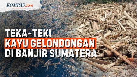 Misteri Kayu-kayu Gelondongan Yang Disapu Banjir Sumatera, Milik Siapa?