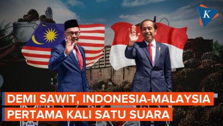 Jokowi Ajak Malaysia Lawan Diskriminasi Sawit Uni Eropa