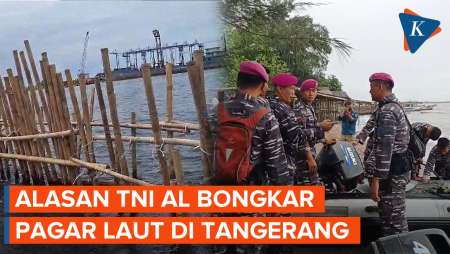 TNI Bongkar Pagar Laut di Tangerang untuk Buka Akses Nelayan Cari Ikan