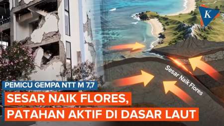 Mengenal Sesar Naik Flores Yang Picu Gempa NTT M 7,7 Hari Ini