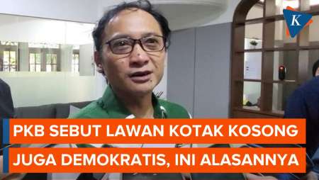 Soal Isu Paslon Tunggal pada Pilkada Jakarta, PKB: Kotak Kosong Juga Demokrasi