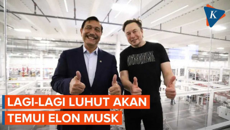 Temui Elon Musk Bulan Depan, Luhut Tagih Investasi Tesla di RI?