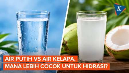 Air Putih Vs Air Kelapa, Mana Lebih Cocok untuk Hidrasi Saat Cuaca Panas?