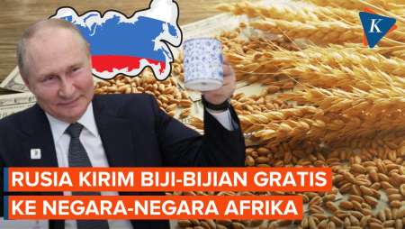 Daftar 6 Negara yang Dapat Pasokan Biji-bijian Gratis dari Rusia