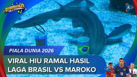 Viral Hiu Ramal Hasil Laga Brasil Vs Maroko di Piala Dunia 2026, Siapa Menang?