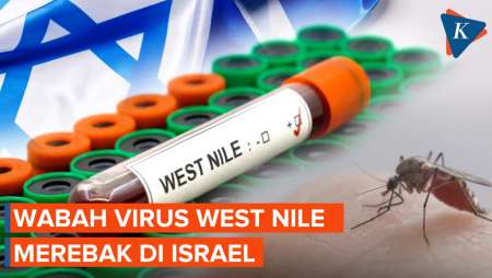 Seratusan Warga Israel Terinfeksi Virus West Nile, Apa Itu?