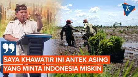 Prabowo Sebut Orang yang Tolak Food Estate Antek-antek Asing