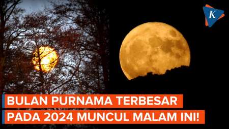 Jangan Lewatkan! Fenomena Hunter's Moon Hiasi Langit Indonesia Malam Ini