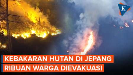 Penampakan Kebakaran Hutan di Jepang, Ribuan Warga Dievakuasi