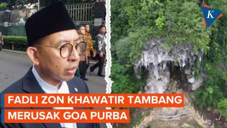 Fadli Zon Khawatir Tambang di Sulawesi dan Kalimantan Rusak Goa Purba
