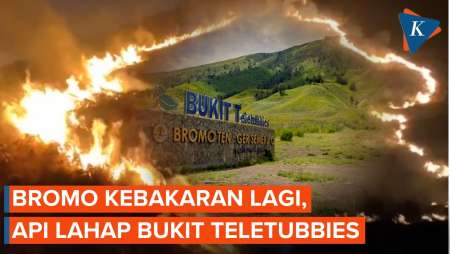 Bromo Terbakar Lagi, Api Merambat Cepat Di Bukit Teletubbies