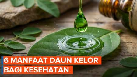 Kolesterol Tinggi? Coba Konsumsi Daun Kelor, Ini 6 Manfaatnya...