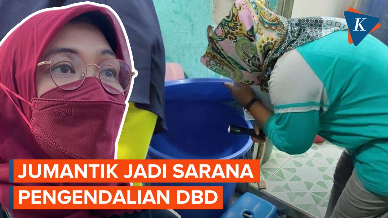 Dinkes DKI Imbau Warga Sediakan Jumantik di Satu Rumah untuk Cegah DBD