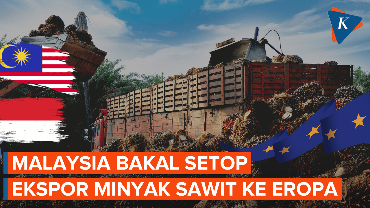 Malaysia Ancam Setop Minyak Sawit ke Uni Eropa, RI Ikutan?