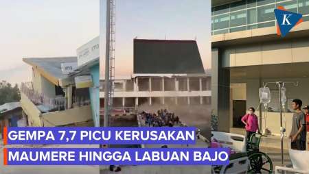 Gempa 7,7 Mbay NTT Picu Kerusakan hingga Maumere dan Labuan Bajo