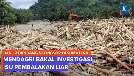 Mendagri Bakal Usut Pembalakan Liar Yang Diduga Penyebab Banjir Bandang Sumatera