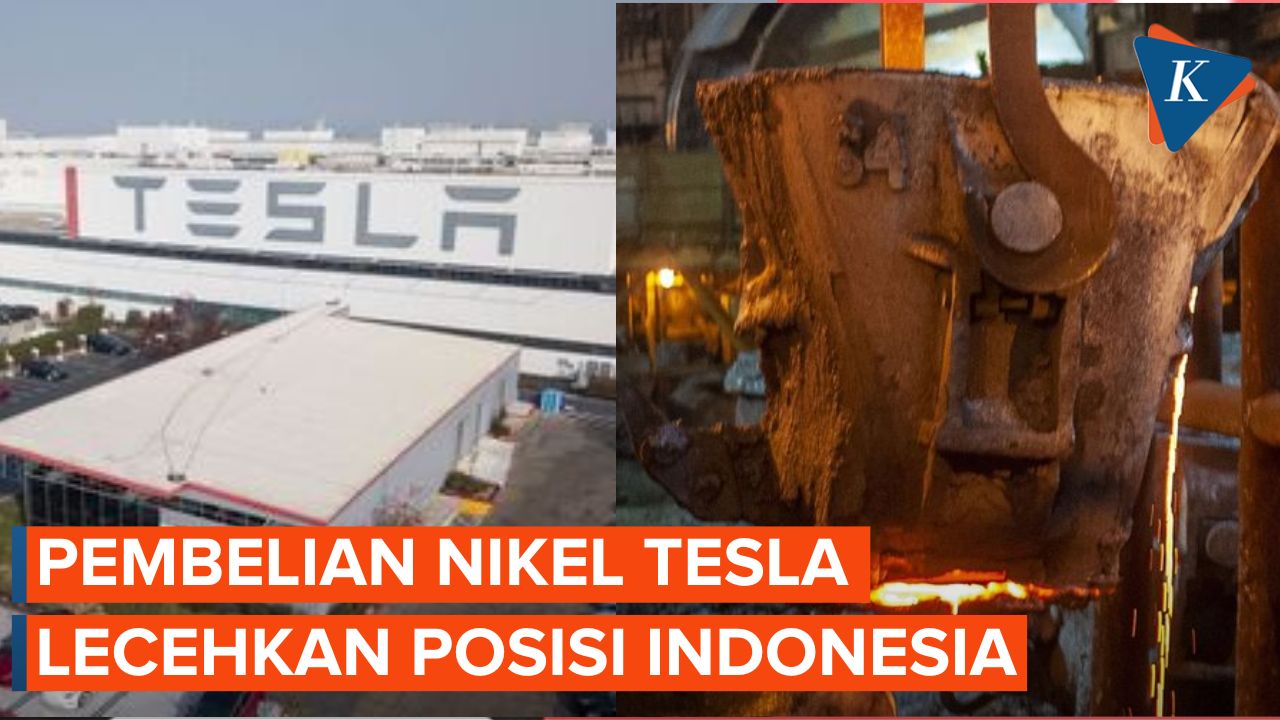 Tesla Jelas Lecehkan Posisi Indonesia