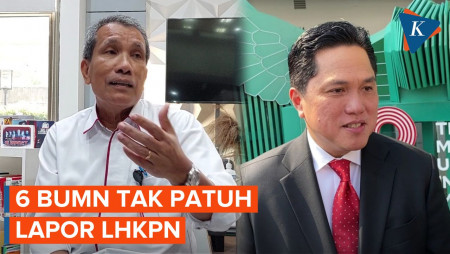 6 BUMN Pejabatnya Tak Patuh Lapor LHKPN, Apa Saja?