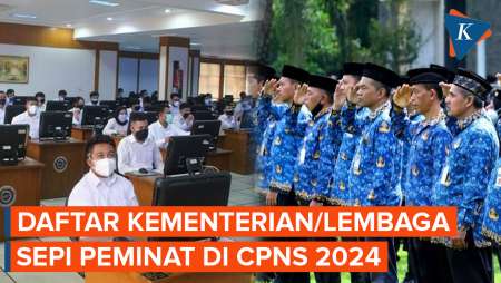 Catat! Ini Daftar Kementerian dan Lembaga yang Sepi Peminat di CPNS 2024