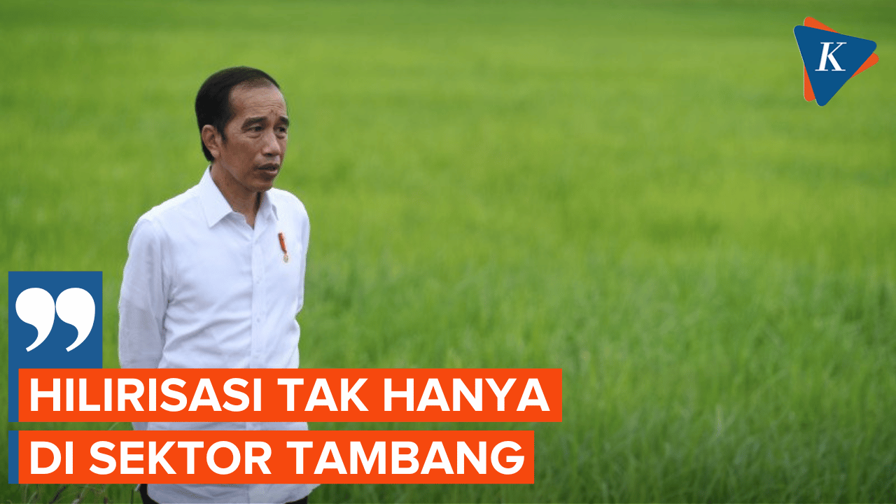 Jokowi Tegaskan Hilirisasi Tak Hanya di Sektor Tambang!
